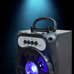 Wireless Bluetooth Speaker with Microphone and FM Radio